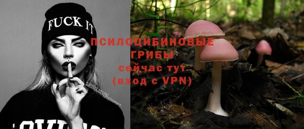шишки Аркадак
