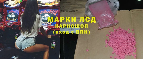 шишки Аркадак