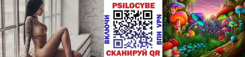 Галлюциногенные грибы Cubensis  Купить где  Байкальск 